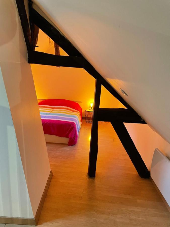 Appartement Complet Hyper Centre Auxerre Zewnętrze zdjęcie